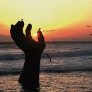 호미곶관광단지 이미지