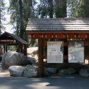 자이언트포레스트 이미지