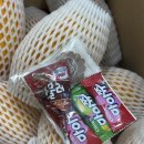 호야네 | “호야네 성주 참외” 만족 후기❤️