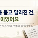 토토애드 | 회사 생활이 맞지 않았던 제가, 다시 블로그를 시작한 이유 (알파남 챌린지클래스 후기)