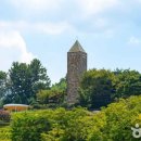 김해대로 2324번길 이미지