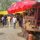 570010 | [인도 여행] 마이소르 mysuru 여행 후기 (1) / Shri Chamundeshwari Temple / Chamundi Hill