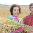 천석농장 이미지