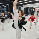 햇살태권도 이미지
