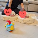 아이맘푸드 | [산모님 후기] 쌍둥이 8주 후기! 강추 👍 합니다.