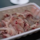 칠천도활어