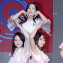 솜이랑 이미지