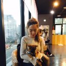 루이야 학교가자 | 군산여행:)군산애견카페 루이야 학교가자