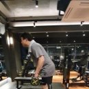 비포렉스