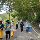 월산면사무소 이미지