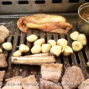 칠삭 Daum카페
