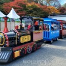 강천산군립공원 이미지