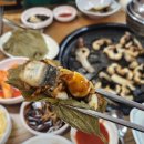 힘센 민물장어 이미지