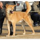 비상초등학교 이미지