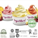 요일리 | 요아정이 뭐길래.. 근데 막상 요아정은 안열어서 못먹고 요일리 시킨 후기ㅜ