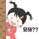 비비추꽃집 이미지