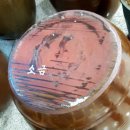 오픈식당 이미지