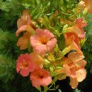 오늘과 내일 이미지