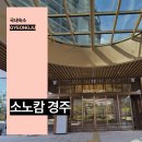 보문모텔 | 소노캄 경주 보문단지 숙박 국내 리조트 추천 수영장 등 후기