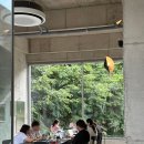 마당가든 | 용인 카페추천 통창 숲뷰 &#39;페러렐&#39; + 가든온마당 식물 구경하기