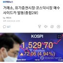 거래소, 유가증권시장·코스닥시장 매수 사이드카 발동 이미지