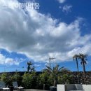 스테이해요