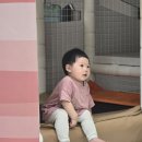 라라키즈풀빌라 | [가평 키즈풀빌라] 라라키즈풀빌라 D2, D3 솔직 후기 단층구조+대형 놀이터 완비된 가족여행지