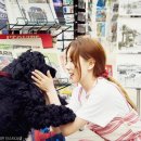 안녕, 강아지 이미지