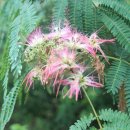 나무달쉼터 이미지