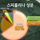 웰빙하와이