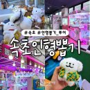 속초뽑기방 | 속초 인형뽑기 투어 속초관광수산시장 근처 인형뽑기방 3곳! 속초 가볼만한곳