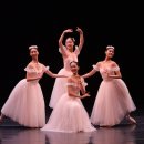 해설이 있는 발레이야기 이미지