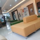 기지시연합의원 이미지