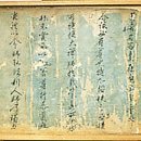 순천-43호 티스토리