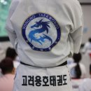 고려용호태권도 이미지