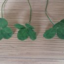 삼송마을 이미지