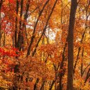 (제128차) 정기산행(안산숲길) 안내. 이미지