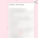 트렌독 이미지