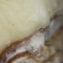 한지형 마늘 파종전 종구 소독 및 적기 파종 이미지