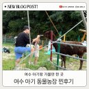 서아농장 | 여수 아이랑 가볼만한 곳? 화양면 아기동물농장 리얼 후기