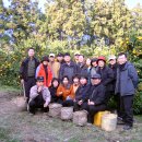 이상진농장 이미지