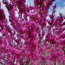 관문체육공원 농구장 이미지