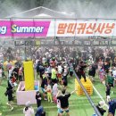 평창 이미지