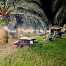 팜트리 빌리지 이미지