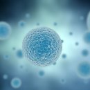 트리바이오 이미지