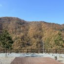 오글오글오토캠핑장 네이버블로그