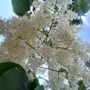 공북낚시터 이미지