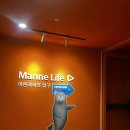 야놀자 | 여수 아쿠아리움 아쿠아플라넷 후기 | 야놀자 할인 티켓으로 알차게 즐기기 💙