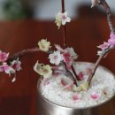 아름다운 떡, 한과 이미지