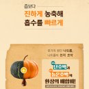 엠앤이 | 몸 붓기빼는법--> "바이민 바를정 호박" 간단후기 입니다.